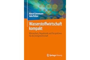 Wasserstoffwirtschaft kompakt: Klimaschutz, Regulatorik und Perspektiven für die Energiewirtschaft