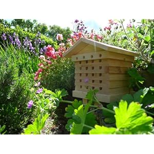 Wildlife World Alveare per api solitarie