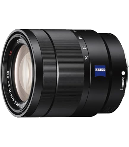 Sony SEL24F18Z Sonnar T* E Mount - APS-C 24mm F1.8 Zeiss