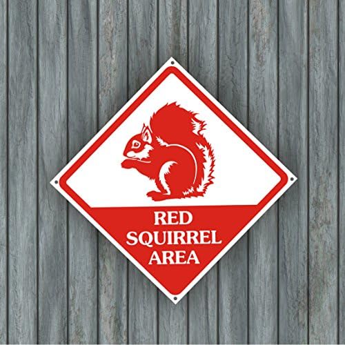 Red Squirrel Warning Sign 10" BY 10"