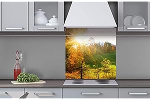 DIMEX LINE Plaque de crédence de cuisine composite 60 x 60 cm | Protection anti-éclaboussures pour cuisinière d'évier | Qualité supérieure en aluminium Dibond épaisseur 3 mm – Fabriqué en UE | Colle incluse