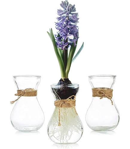 JFBUCF Vaso da tavolo in vetro con supporto in metallo, vaso creativo per piante a forma di cuore terrario gatto supporto in metallo propogazione vaso idroponico per decorazione domestica e ufficio JFBUCF Vaso da tavolo in vetro con supporto in metallo, vaso creativo per piante a forma di cuore terrario gatto supporto in metallo propogazione vaso idroponico per decorazione domestica e ufficio