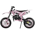 Upgraded 49cc Kids Mini Motorcycle – Gas-Powered Off-Road Pit Bike with Dual Disc Brakes, 10" Anti-Slip Tires & 2-Stroke Engine, Durable Frame for Youth & Beginners (Ages 6-12) Pink
