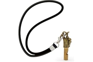 TIANLIN Trillerpfeife Sportunterricht, Signalpfeife, Schiedsrichterpfeife, Trillerpfeife Metall (Kupfer), Lauter Ton, mit 47cm Lanyard und Aufbewahrungsbox, Einsetzbar für Sport, Training