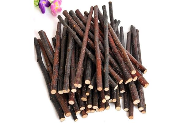 Carry stone Bâtons à mâcher en Bois Naturel Brindilles pour Petits Animaux domestiques Lapin Hamster Jouet de Cochon d'Inde Durable et utile