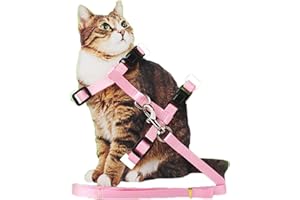 BRUSSELS08 Harnais en nylon réglable pour chats, avec laisse et collier