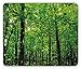 Produktbild WYICPLO Nature Mouse Pad, Woodland Tree Forest Jungle in Sunny Day Mother Earth Environment Picture, Standard Size Rectangle Non-Slip Rubber Mousepad, Fern Green Seal Brown