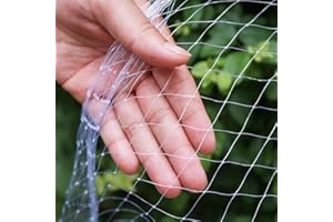 KORERPALL Filet Chat Balcon, Filet de Protection Chat, Nylon Forte résilience, Filet Anti Oiseaux, Filets pour Jardin,(3X10m/transparent,3X10m/transparent)