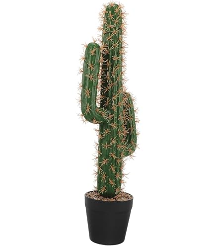 Deko-Kaktus Aus Keramik - Grüne Zimmerpflanze Ohne Pflege
