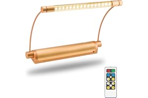 HONWELL- Lámpara de Pared Inalámbrica con Luz LED, Luces de Pilas con Temporizador, Marco Giratorias Luces con Control Remoto, Espejo Iluminación para Pintar, Obras de Arte, Color Rosa Dorado