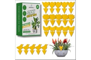 EVANMORE Fruit Fly Traps Trap Indoor Sticky Yellow For Home Use Protect Plants Plant Houseplant Fungus Gnat Killer Insect Catcher Bug Catchers Control Pests Whitefly Non Toxic Odourless Safe Waterproof (20)