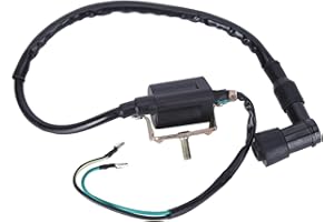 TERISASS Bobina de encendido para Pit Dirt Bike ATV