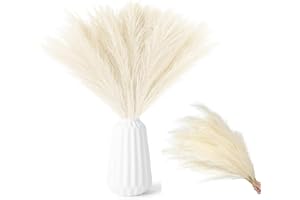 RXKFIGX 30 Stück Champagnerfarbe Pampasgras,Pampasgras Künstlich, 55cm Pampasgra Deko,Pampasgra Deko Trockenblumen Getrocknete Blumen Deko Kunstblumen Pflanzen für Hochzeit Büro Schlafzimmer Wohnzimme