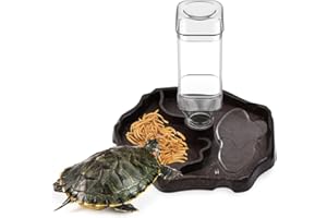 UHETLET Schildkröten Wasserschale Schildkröten Terrarium Wasserbecken Schildkröten Wasserspender mit Flasche Landschildkröten Zubehör Wasserschalen für Schildkröten Schlange Gecko Eidechsen Hamster