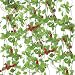 Produktbild SPECOOL 10 Strähnen (80 Füße) Künstliche Sea Brassen grün Blätter und Strawberry Fake Hanging Vine Pflanze für Hochzeit Party Garten Wand Dekoration Cherry