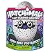 Produktbild Hatchimals "Bearakeet" .