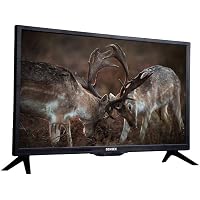 Sensex 61 cm (24 Inches) HD Ready LED TV SX-24IN (Black) (2019 Model)