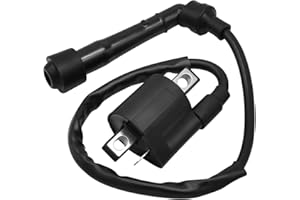 Wai Danie Bobina de encendido compatible con Yamaha Grizzly 660 YFM660 YFM 350 2002-2008 Bear Tracker ATV Parts