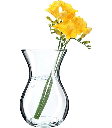 Jodeco Bloemenvaas Lio - helder transparant - glas - D19 x H35 cm