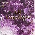 Colourpop ColourPop Eyeshadow Palette ALL AMETHYST - Range of Purple Shades, 0.3 Ounce