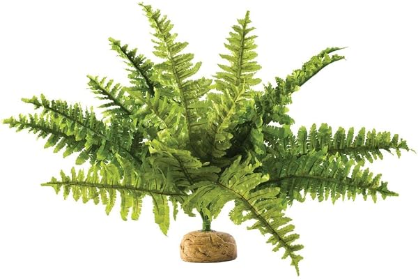 Exoterra Plante de Décoration pour Reptile Fougère de Boston
