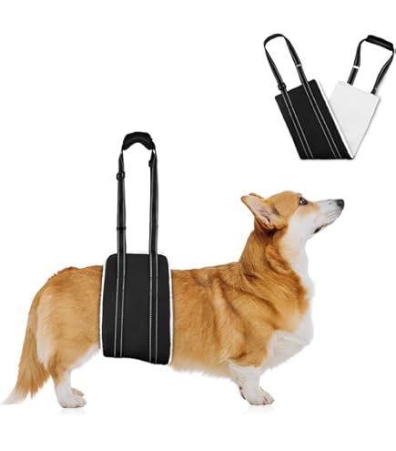 Verstelbare 2 wielen hond rolstoel voor kleine hondjes,M-2 grootte voor achterpoten revalidatie,Hoogte 30-38cm,Breedte 17-22cm,Lengte 20-28cm