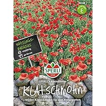 Online Background Check