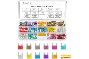 FEPITO 140pcs Mini Fusibili per Auto e Camion con Custodia di Archiviazione (2A, 3A, 5A, 7,5A, 10A, 15A, 20A, 25A, 30A, 35A, 40A)