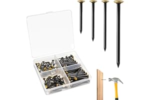 NOKWOCY 120 Stück Stahlnägel Set 20/25/30/40mm, Ideal als Bildernägel, Rostfreie Stahlnägel für Betonwände, Ziegelstein, Putz und Holz, in Aufbewahrungsbox