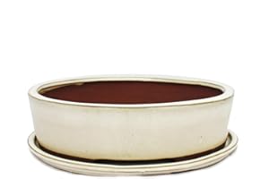 Exotenherz - Bonsai-Schale mit Unterteller Gr. 4 - hellbeige - oval - Modell O1 - L 25cm - B 20cm - H 7,5cm