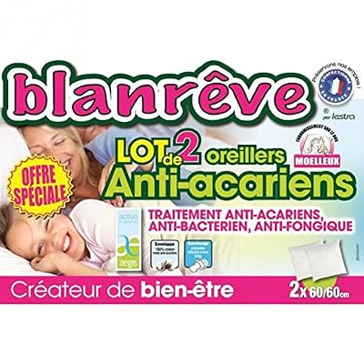 Blanrêve Lot de 2 Oreillers Anti Acariens 60 x 60