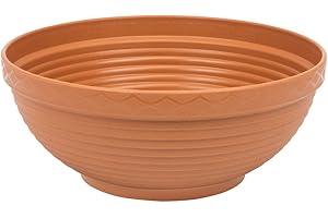 PROSPERPLAST Prosper Plast Dms06-r624 26 x 11.3 cm Misa de Pot à Fleurs en Terre Cuite (12 pièces)