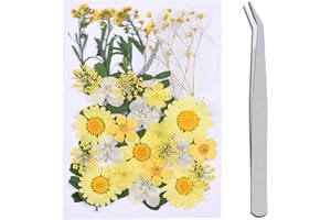 WJIAEER 30 STÜCKE Natürliche Geprägte Trockenblumen, Getrocknete Blumen, DIY Gepresste Blumen Trockenblumen zum Basteln Trockenblumen