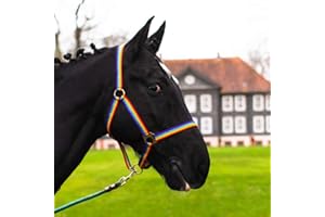 PFERDELINIS Cavezza per cavallo, sangue caldo, purosangue, sangue freddo – cavezza per stalla, cavezza per pascolo, 2 regolazioni su sottogola e nuca – sicura e antistrappo (bianco, pony)