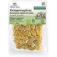 Olea Tree Greek Green Organic Pitted Natural Olives Super Colossal from Halkidiki, Pack of 3 x 200g (Total: 600g)