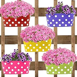 ATHENACREATIONS Dotted Oval Railing Planters | Planter Pot with Hanger | Gamla | Hanging Planter Basket for Home and Balcony(Multicolour, Pack of 5)