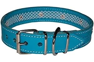 TUYNEC - Unique Collier pour Chien pour protéger Le Collier Anti puces pour Chien - Collier Chien Cuir de première qualité pour garantir la durabilité Collier Anti puces pour Chien