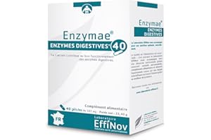 Effinov - Effinov Equilibre Enzymae 40 gélules