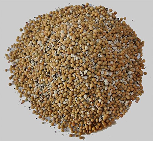 Chicchi di Sole 500 Gramm Zitrusdünger - 2