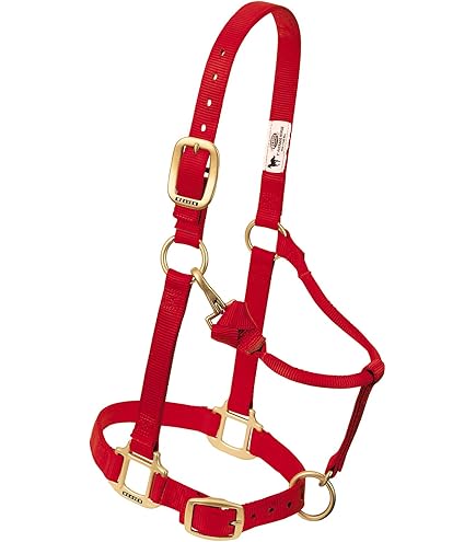 Hamilton Licol Cheval Nylon 1 Pouce – Taille Moyenne (800–1100 Lb) – Marron, Neuf