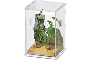 Giznzg Terrarium pour Reptiles avec hygromètre de température, 18x18x30cm boîte d'élevage en Acrylique pour Reptiles et Insectes à Domicile (Arboreal Large)