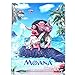 Price comparison product image Apple iPad 2,3,4 Folio Moana Case / Protective PU Leather Smart Flip Cover / iCHOOSE / The Cast - Rock
