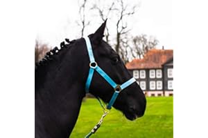 PFERDELINIS Cavezza per cavallo, sangue caldo, purosangue, sangue freddo – cavezza per stalla, cavezza per pascolo, 2 regolazioni su sottogola e nuca – sicura e antistrappo (turchese, pony)