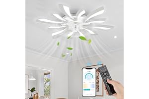 NACATIN Ventilatore Da Soffitto con Luci e Telecomando, 35CM, LED, regolazione continua di luminosità e velocità. Ideale per camera da letto (Bianco)