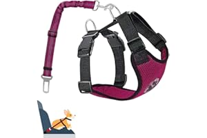 Nasjac Dog Car Harness with Seat Belts, Safety Adjustable Dog Seat Belts for Cars with Clip and Buckle, Breathable Mesh Pet Vest Harness Seatbelts with Secure Elastic Buffer for Travel