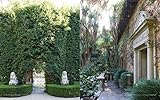 Image de Past Perfect: Houses and Gardens