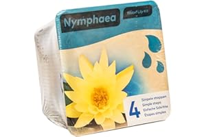 SATOHA Moerings Yellow Water Lily Pond Plant Kit - Complete Kit for Easy Pond Setup