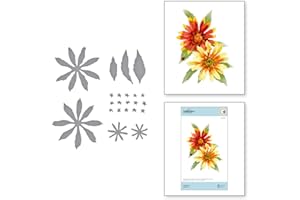 Spellbinders Etched Dies Tierney-Cockburn-Gaillardia-Susan's Autumn Flora, Metal, 1