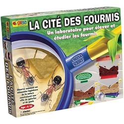 BSM - Jeu éducatif - La cité des fourmis
