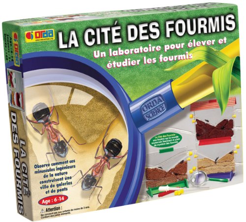 BSM - Jeu éducatif - La cité des fourmis